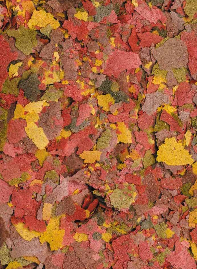 Корм для риб Природа Біовіт Колор, пластинчастий, 10 г (240462) 2