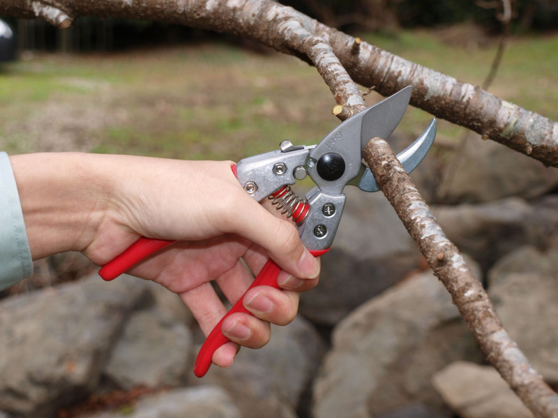 Секатор, ARS, професійний з ковадлом, VA-8Z 7