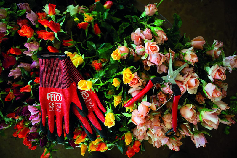 Сікатор Felco 322, для збирання плодів 3
