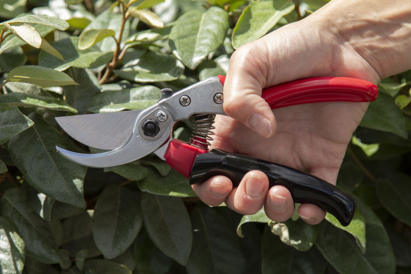 Секатор ARS, VS-7XR 4