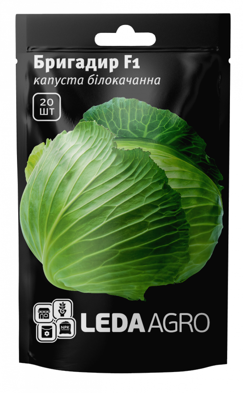 Насіння капусти Бригадир F1, 20шт, Clause, Франція, насіння Леда Агро 1