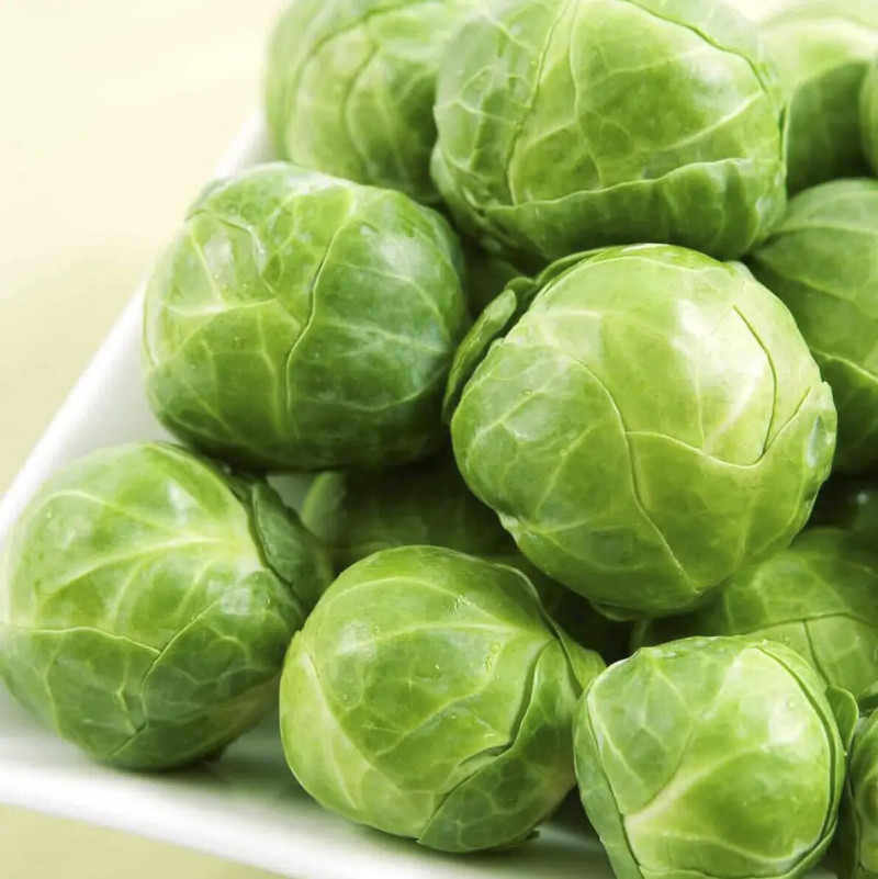 Насіння капусти Франклін F1, 15шт, Bejo, Голландія, Насіння Pro seeds 2