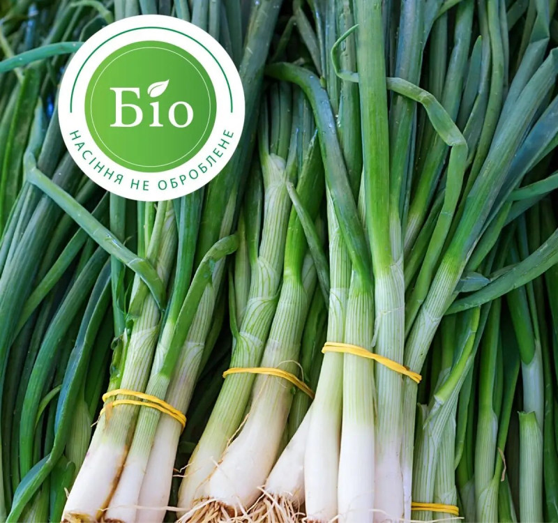 Насіння цибулі на перо Еверест, 200шт, Wing seed, Голландія, Насіння Pro seeds 2