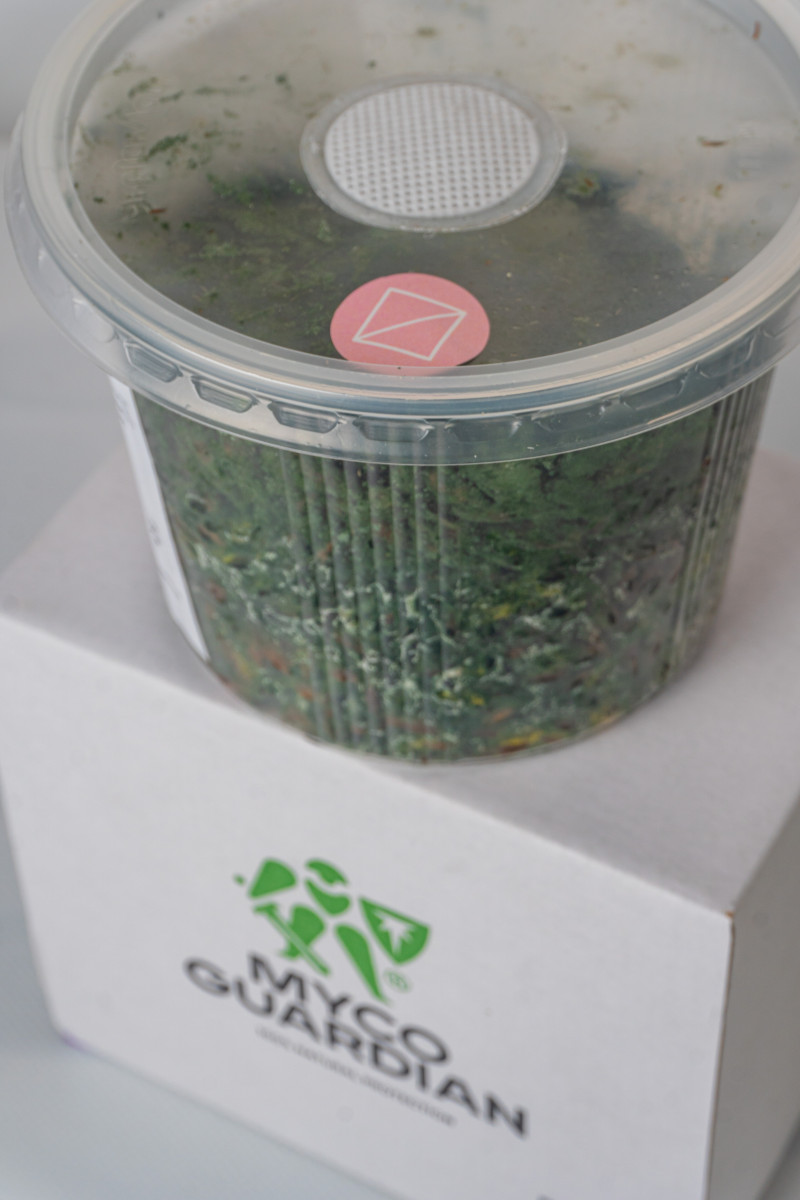 Біофунгіцид, зерновий міцелій гриба Trichoderma Koningii, 500 мл, ТМ Myco Guardian 3