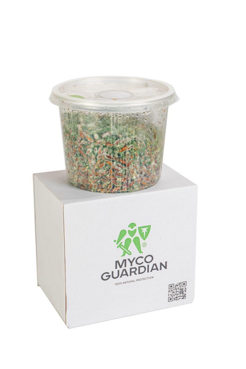 Біофунгіцид, зерновий міцелій гриба Trichoderma Viride, 500 мл, ТМ Myco Guardian 1