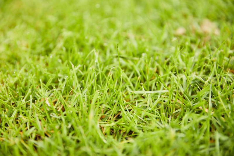 3147 Компо  Тверде добриво тривалої дії для газонів 8кг 2