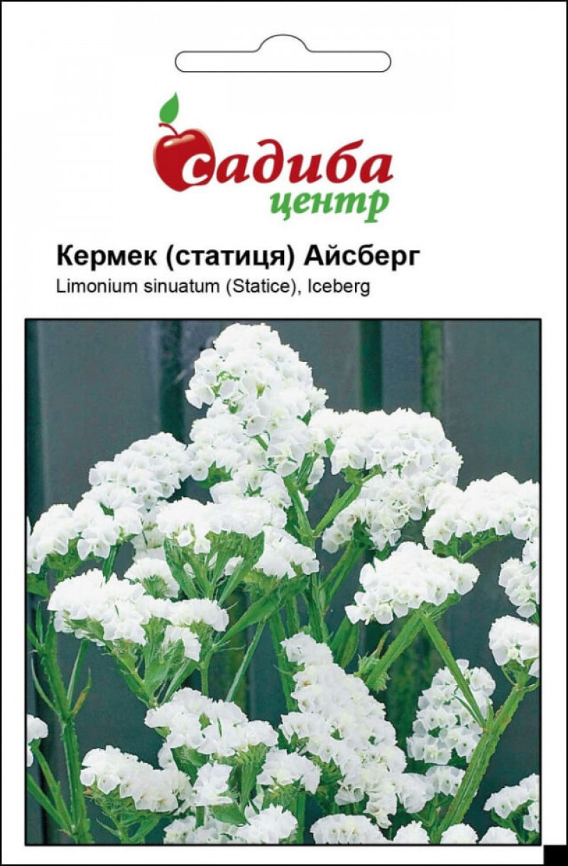 Насіння кермека Айсберг білий, 0.1, Hem, Голландія, Садиба Центр 1