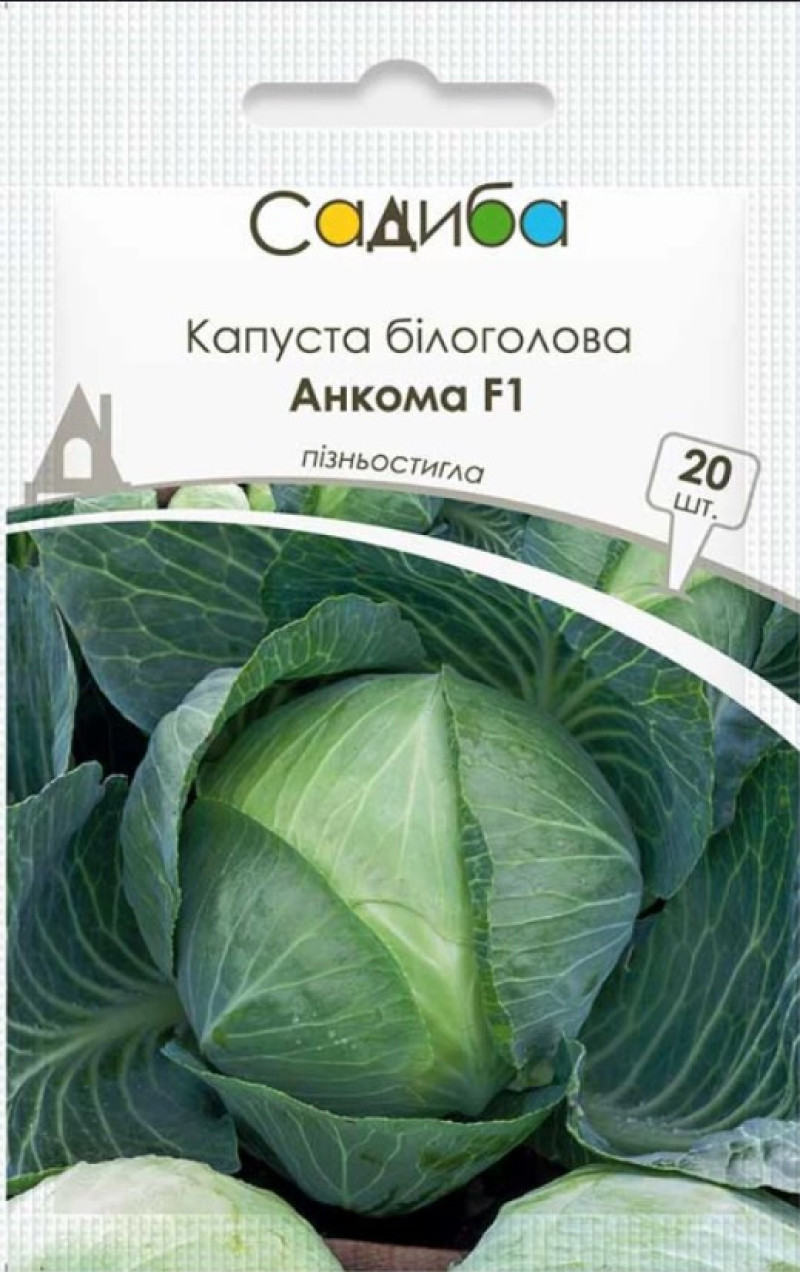 Насіння капусти Анкома F1, 20шт, Rijk Zwaan, Голландія, насіння Садиба Центр 1