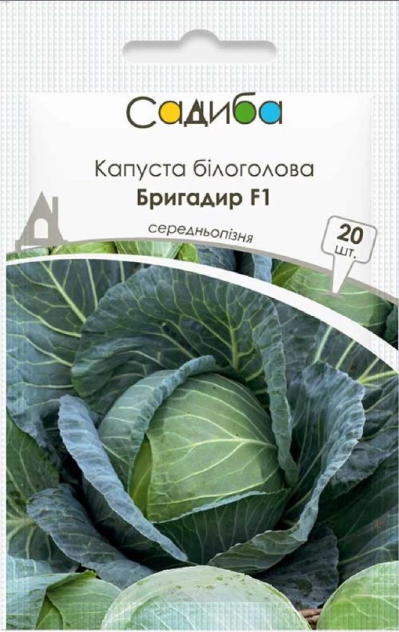 Насіння капусти Бригадир F1, 20шт, Clause, Франція, насіння Садиба Центр 1
