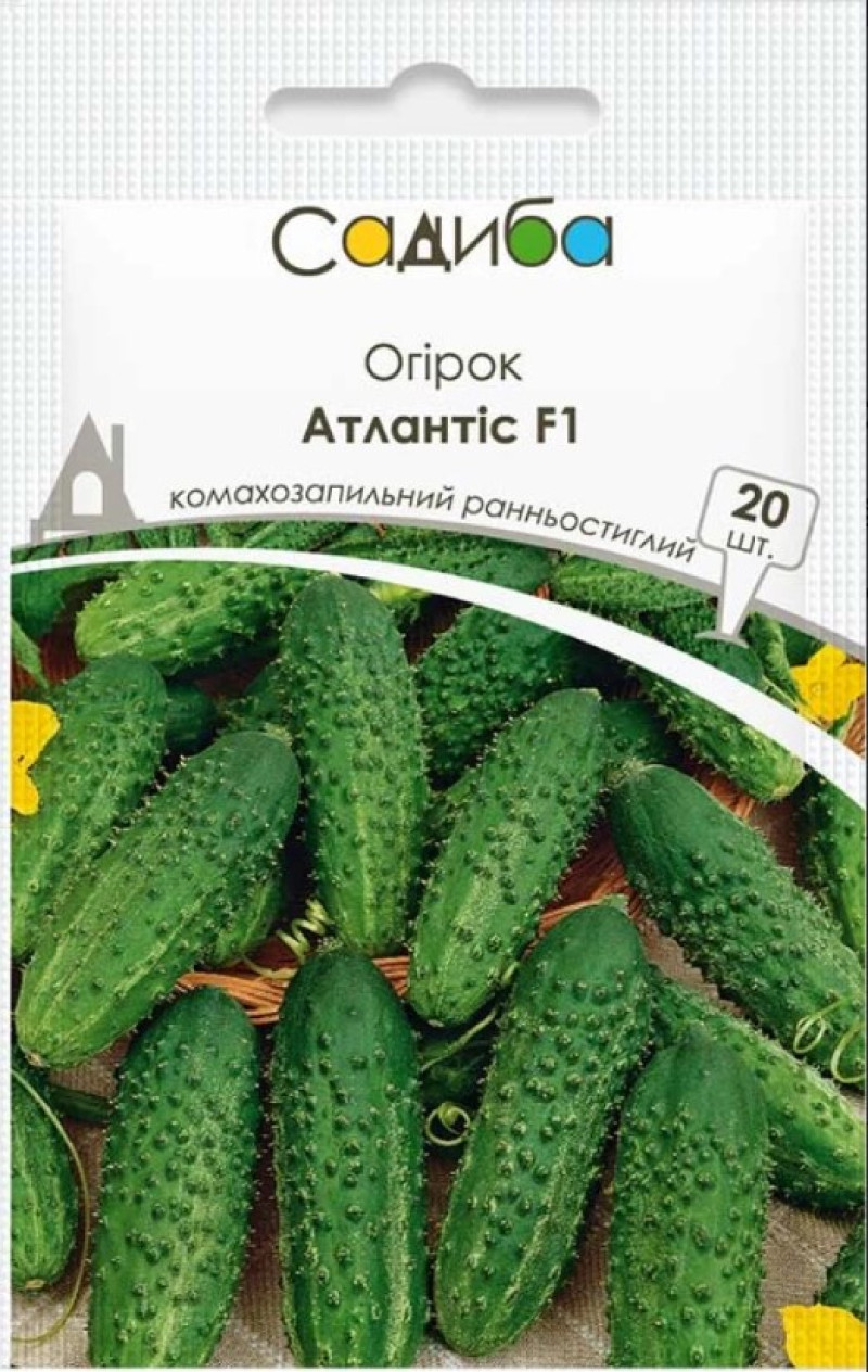 Семена огурца Атлантис F1, 50шт, Bejo, Голландия, семена Садиба Центр 1