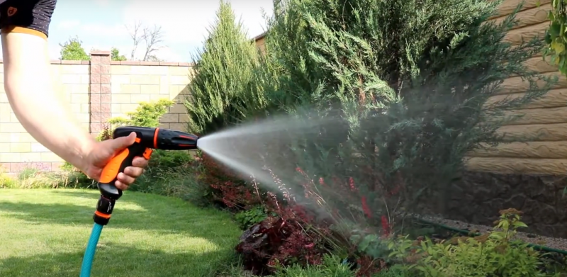 Пистолет-ороситель Aquapulse (2024) 3