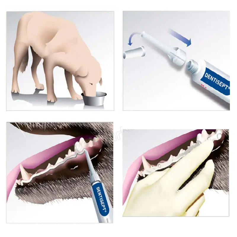 Зубная паста Livisto Dentisept для собак и кошек, 20 г 2