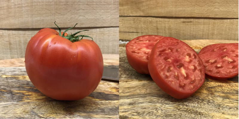 Насіння томату Річіоло F1, 10 шт, United Genetics, Італія, Професійне насіння 2