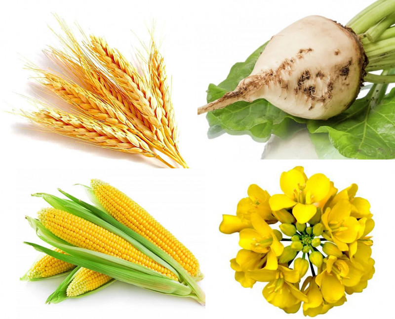 Регулятор росту рослин Епін-Екстра 1 мл, Нест М 2