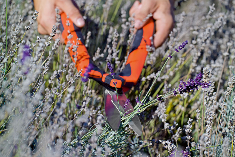 Ножиці садові Stocker Hobby 55 з хвилястими лезами (2039) 3