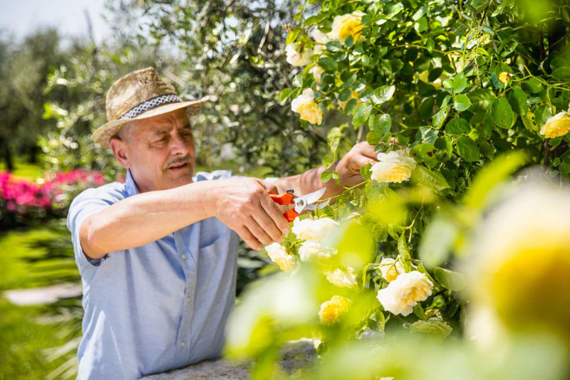 Садовий секатор Stocker Inox 19 з вигнутими лезами (332) 2