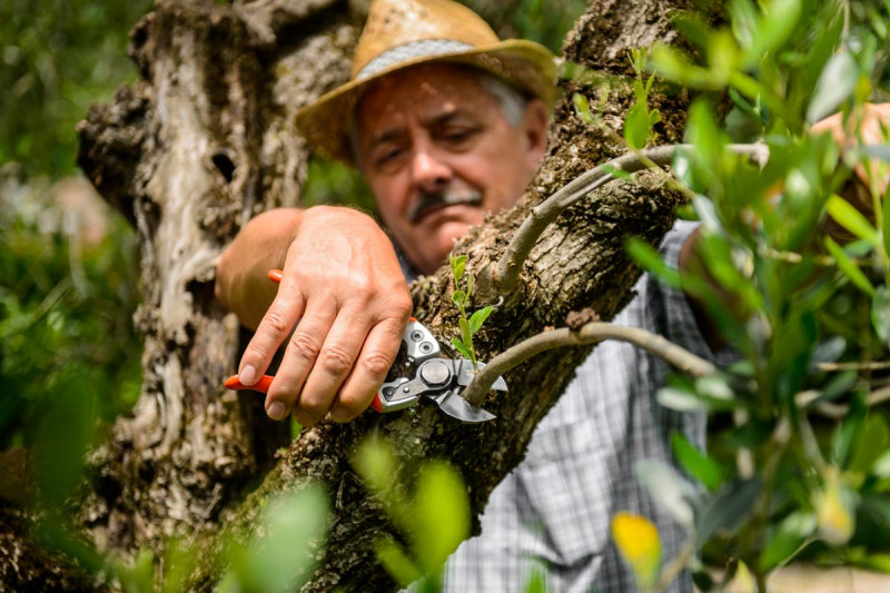 Садовий секатор Stocker Classic Light 21 італійський (377) 2