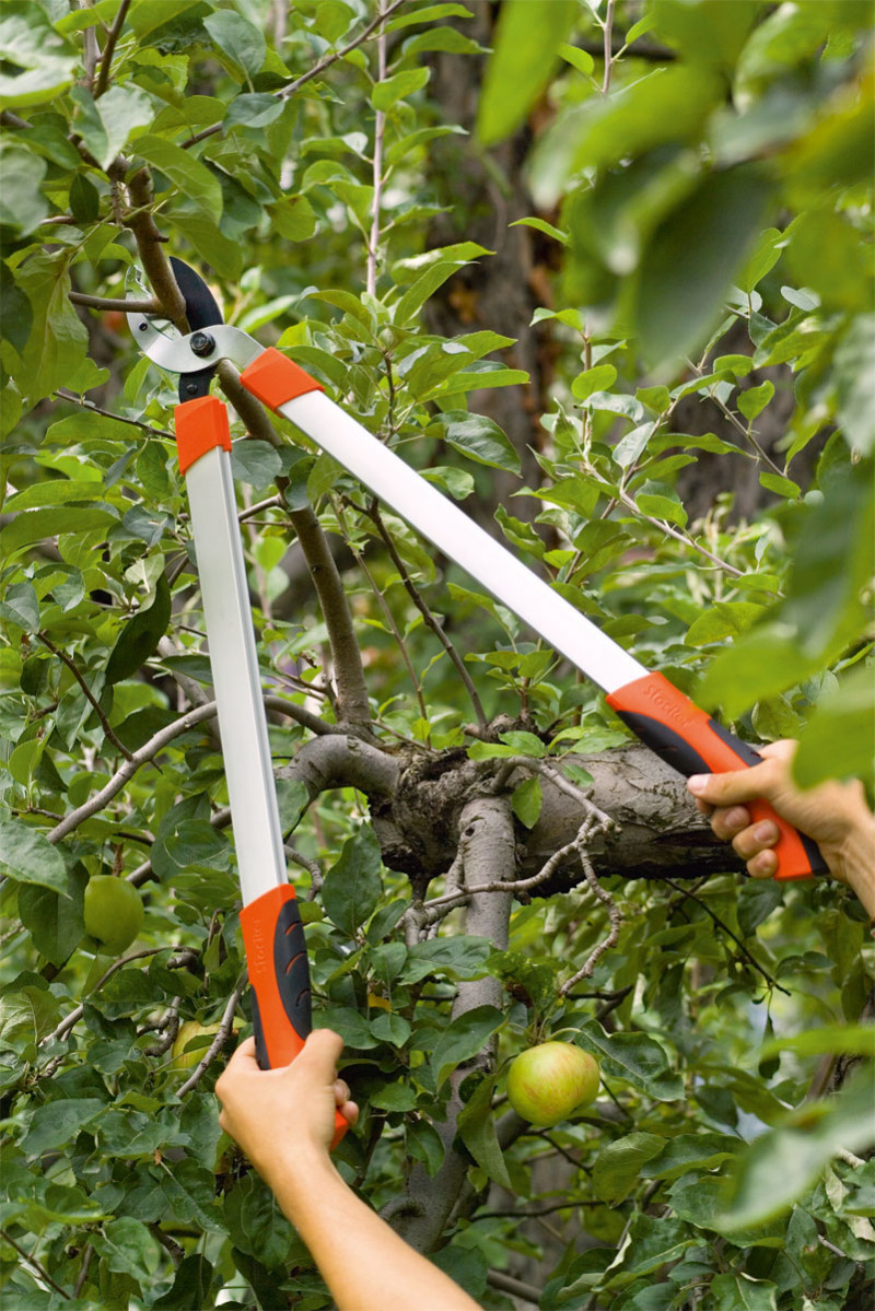 Сучкорез Stocker Hobby 66 с наковальней (7230) 2