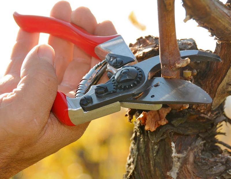 Секатор садовый Felco 8 3