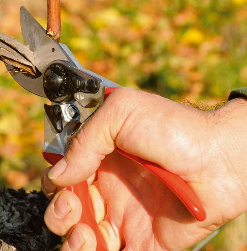 Секатор садовый Felco 8 9