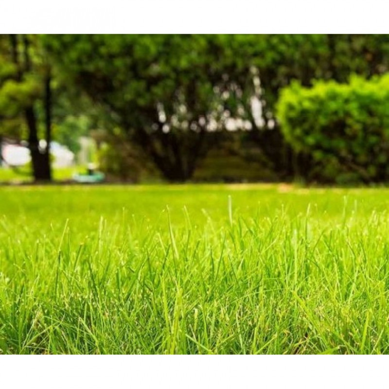 Комплексне мінеральне добриво Compo DuraTec Top 24 NPK 24.5.5 (+2) + ME, 25 кг 2