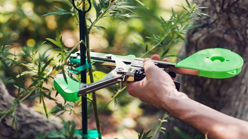 Степлер-сшиватель тапенер для рослин MAX Tapener HT-B1 2