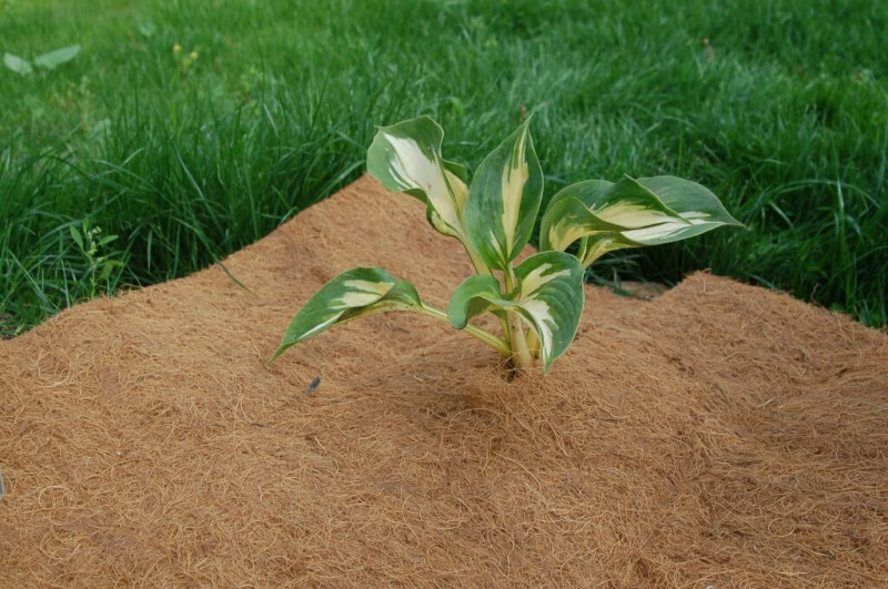 Агроволокно EuroCocos з кокосового волокна, 120 х 60 см 5