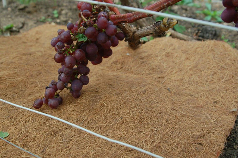 Агроволокно EuroCocos з кокосового волокна, 120 х 60 см 4