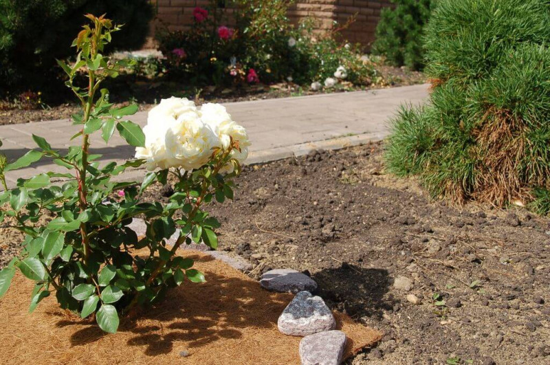 Агроволокно EuroCocos з кокосового волокна, 120 х 60 см 11