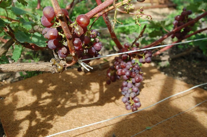 Агроволокно EuroCocos з кокосового волокна, 120 х 60 см 8