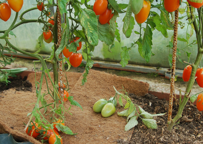 Агроволокно EuroCocos з кокосового волокна, 120 х 60 см 10