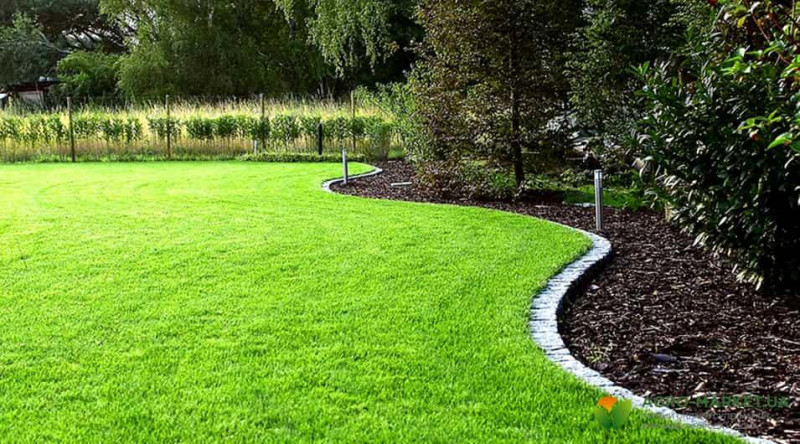 Газонна трава Grow Еліт, Jacklin Seeds, 5 кг 2