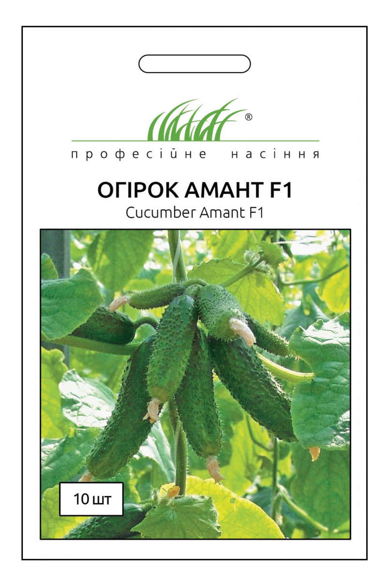 Насіння огірка Амант F1, 10 шт, Bejo, Голландія, Насіння Pro seeds 1