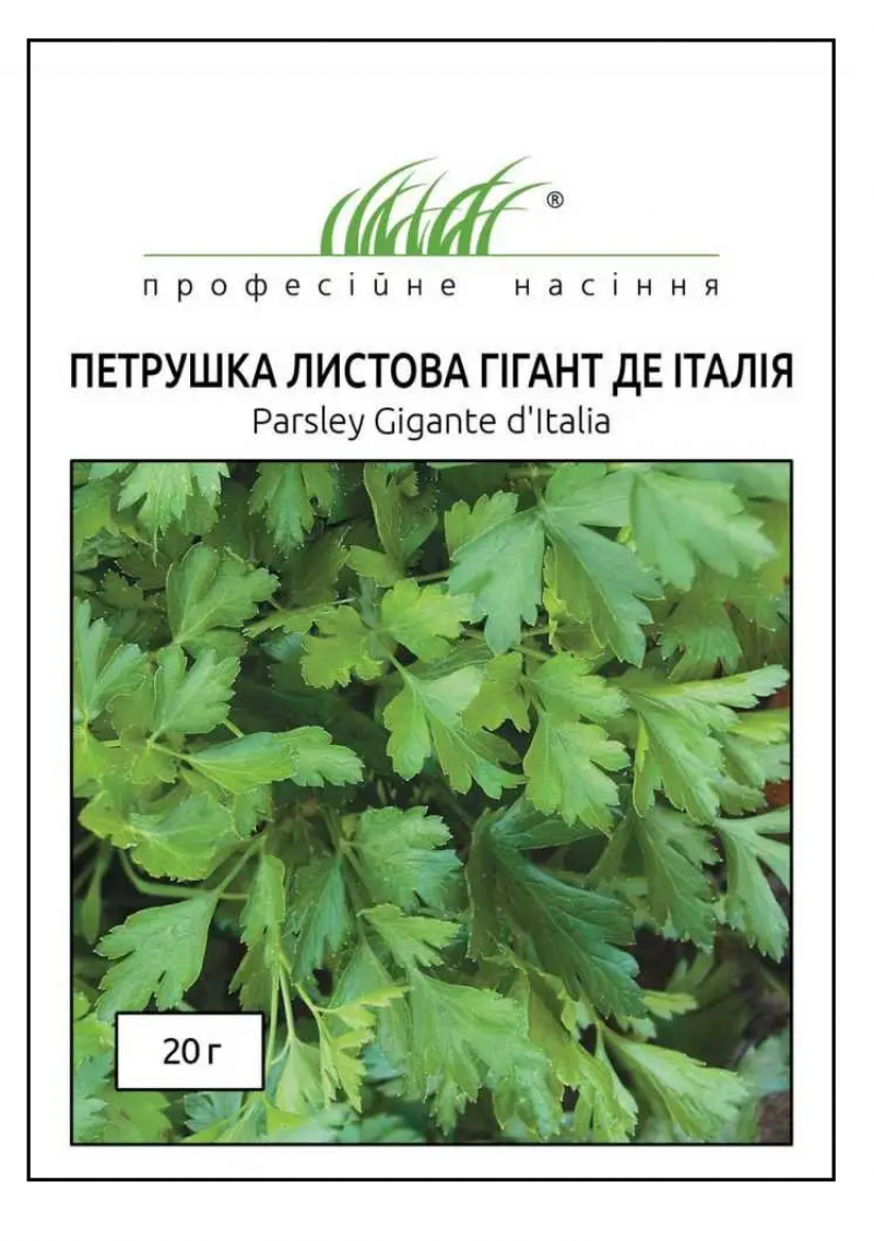 Насіння петрушки Гігант де Італія, 20 г, Tezier, Франція, Професійне насіння 1