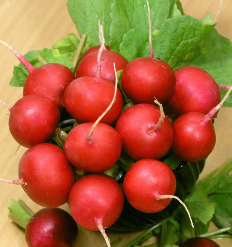 Насіння редису Сора, 3 г, Nunhems Zaden, Нідерланди, Професійне насіння 3