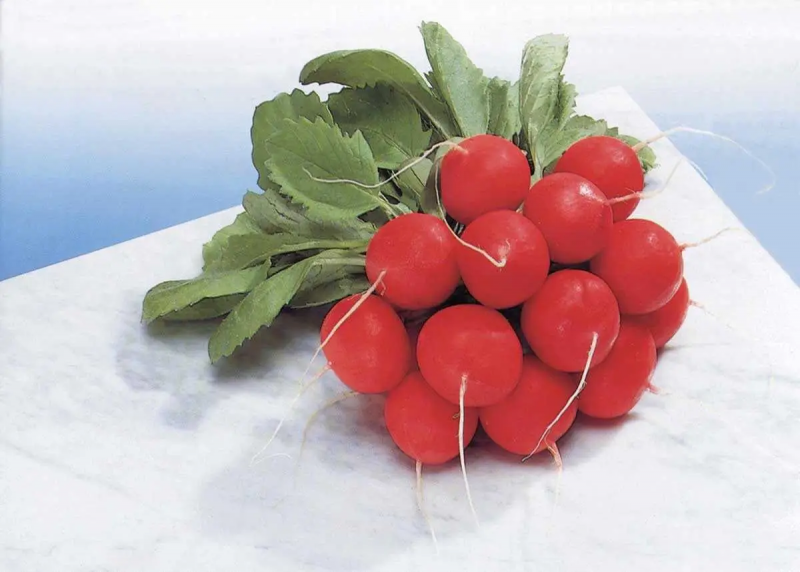 Насіння редису Сора, 3 г, Nunhems Zaden, Нідерланди, Професійне насіння 2