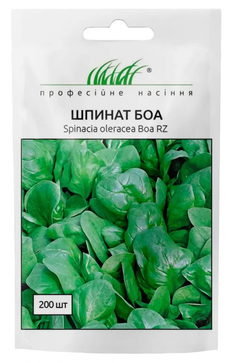 Насіння шпинату Боа, 200 шт, Rijk Zwaan, Голландія, Професійне насіння 1