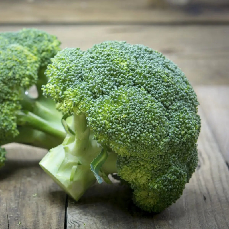 Насіння броколі Батавія F1, 20 шт, Bejo, Голландія, Професійне насіння 2