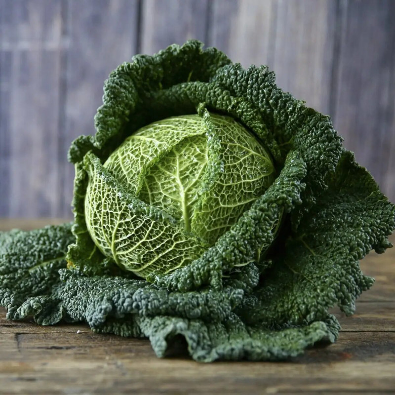 Насіння капусти Мадлена F1, 20 шт, Rijk Zwaan, Голландія, Професійне насіння 2