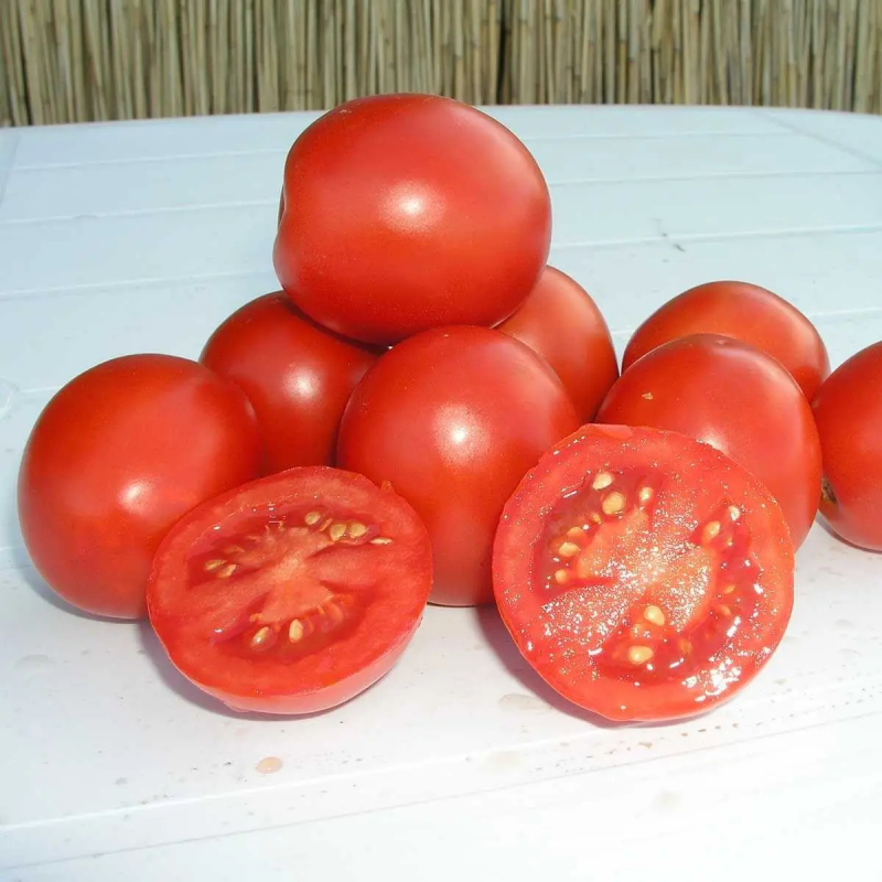 Насіння томату Солероссо F1, 20 шт, Nunhems, Голландія, Професійне насіння 2