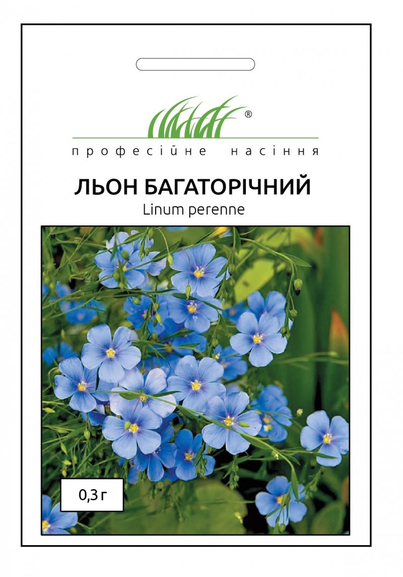 Насіння льону багаторічного, 0.3 г, Hem, Голландія, Професійне насіння 1