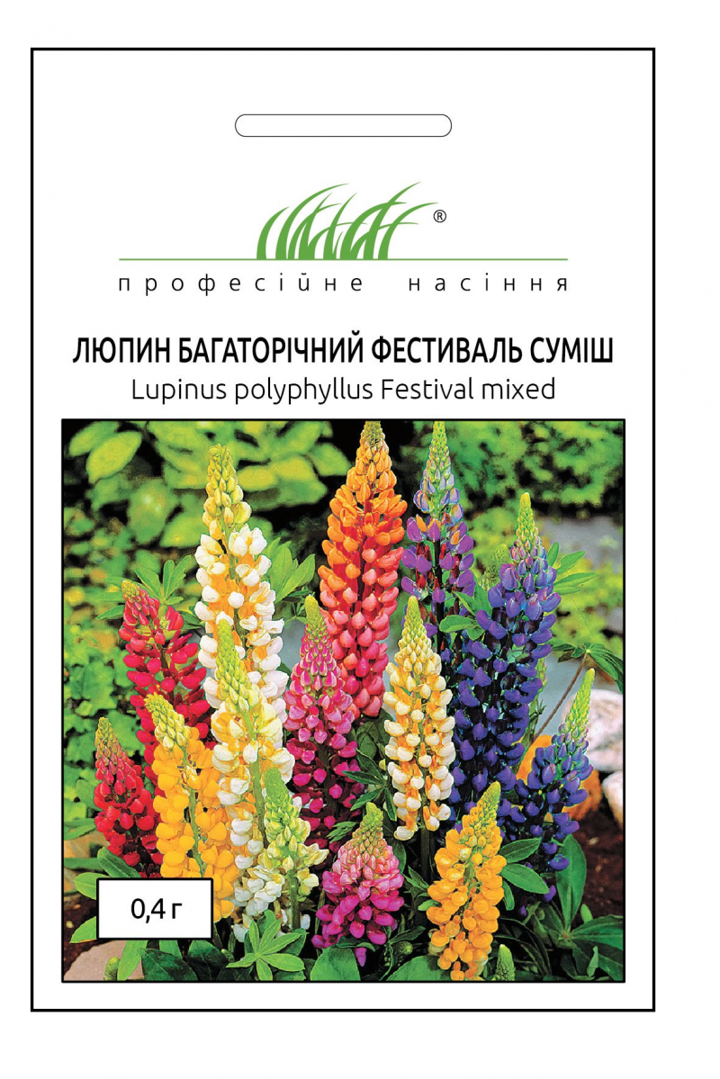 Насіння люпину багаторічного Фестиваль суміш, 0.4 г, Hem, Голландія, Професійне насіння 1