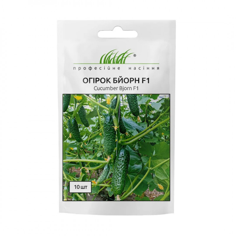Насіння огірка Бйорн F1, 10 шт, Enza Zaden, Нідерланди, Професійне насіння 1
