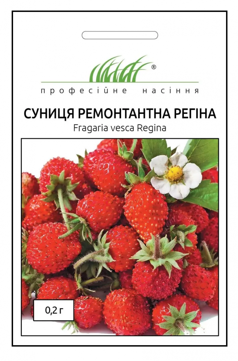 Насіння суниці ремонтанта Регіна, 0.2 г, Hem, Голландія, Професійне насіння 1