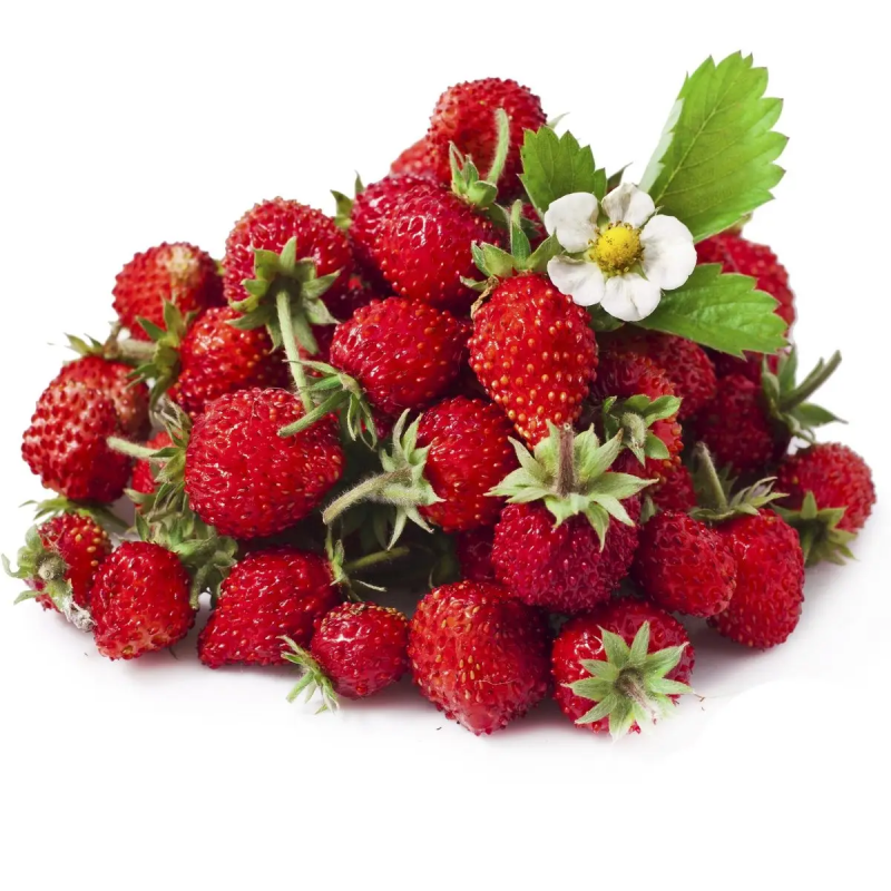 Насіння суниці ремонтанта Регіна, 0.2 г, Hem, Голландія, Професійне насіння 2