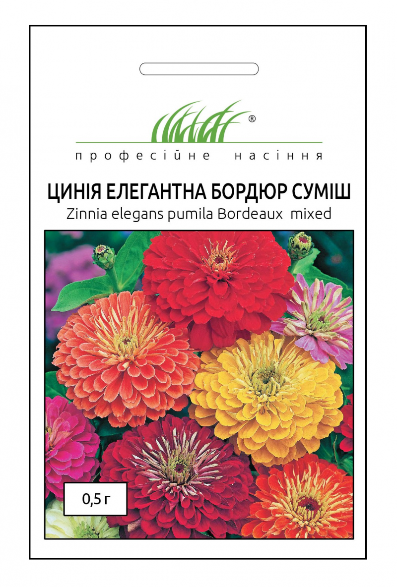 Насіння циннії елегантної Бордюр суміш, 0.2 г, Hem, Голландія, Професійне насіння 1
