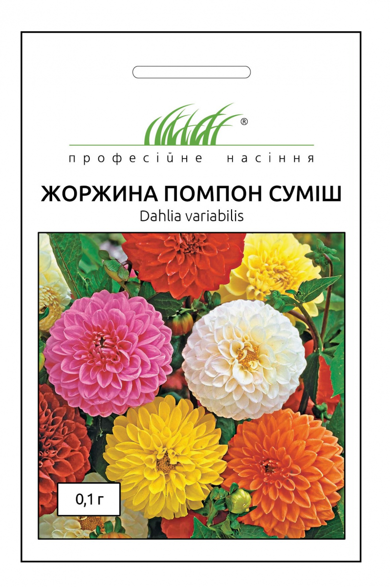 Насіння жоржини Помпон суміш, 0.1 г, Hem, Голландія, Професійне насіння 1