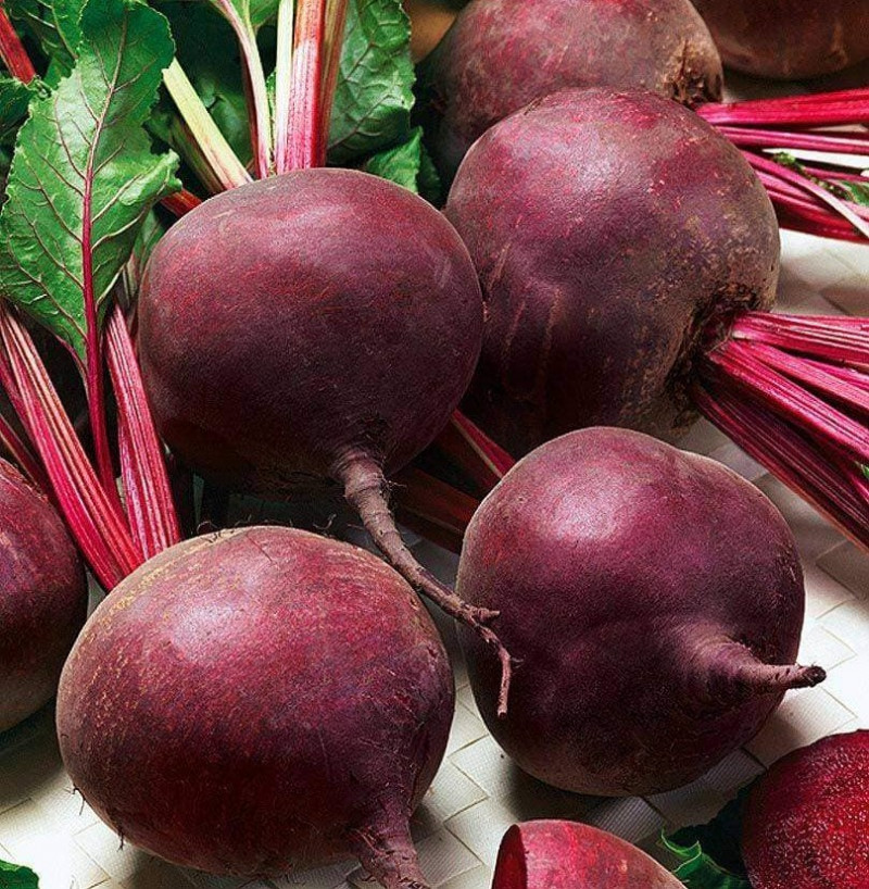 Насіння буряка Кардіал F1, 200 шт, Sakata, Франція, насіння Леда Агро 2