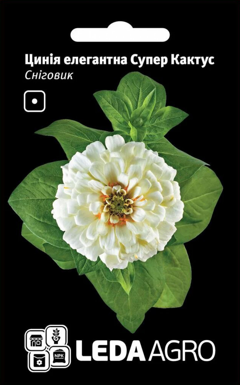 Насіння цинії елегантна Супер Кактус, Сніговик, 0.3 г, насіння Леда Агро 1