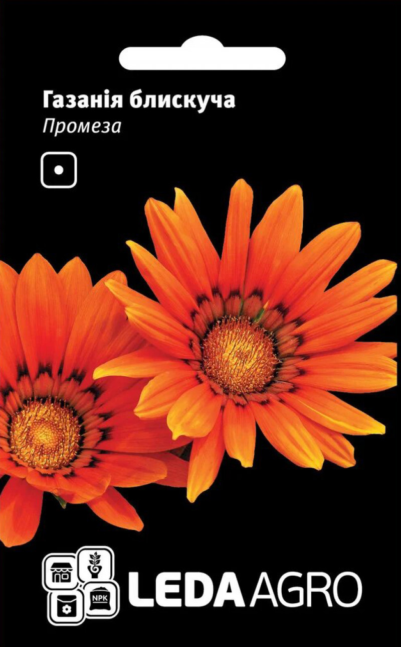Семена газании Промеза, 5 шт,  Hem, Голландия, семена Леда Агро 1